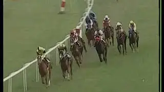 The Tenerife Plate Div-1 winner BE MY PRINCE  Nov 14 2018