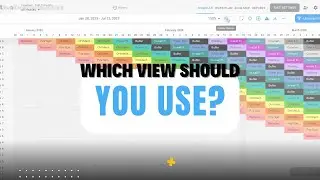 Which View Should You Use in inTakt