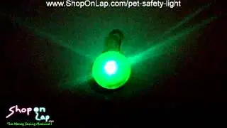 Pet Safety Light
