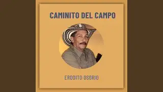 Estoy Solito