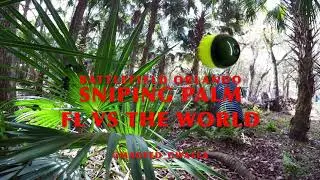 !*!*MAGFED FLORIDA VS THE WORLD SNIPING PALM 8 KILLS!*!*!