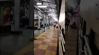 a woman fell down from train #shorts #accidentnews #train