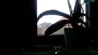 Kasztan