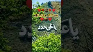 Ali Mola Ali Dam/Ya Ali Madad #yaali #manqabat #shortvideo #trending #asian