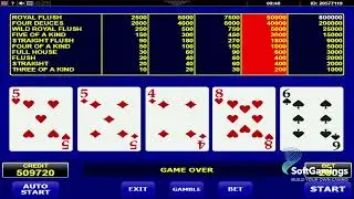 Amatic - Deuces Wild - Gameplay Demo