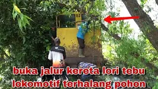 PART 5 || Membuka jalur kereta lori tebu yang sekian lama tidak dilewati || PG Kedawung