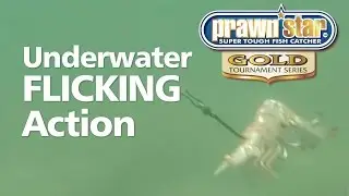 prawnstar gold underwater