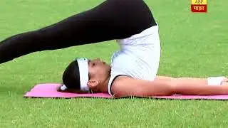 योग माझा : हलासन