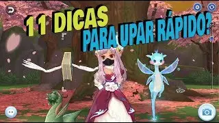 11 DICAS PARA UPAR - RAGNAROK M ETERNAL LOVE