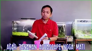 TDS & Kesadahan Air | Cara Kenali, Ukur, dan Sesuaikan dengan Kebutuhan Tanaman