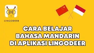 CARA BELAJAR BAHASA MANDARIN DI APLIKASI LINGODEER