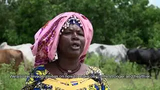USADF | Cattle Herding In Burkina Faso with Alawone