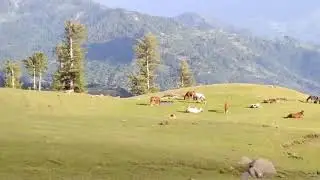 Azad Kashmir