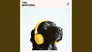 Pet Energy Healing Music