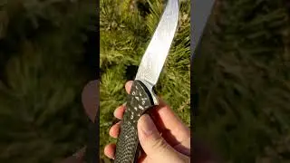 TACTICAL FLIPPER DES HORN
