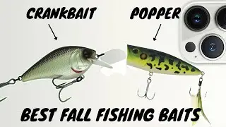 Best Fall Fishing Baits (Filmed with New iPhone 13 Pro Max)