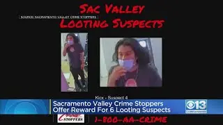 Reward Offered For 6 Looting Suspects