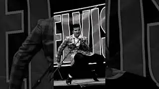Evan King - Hound dog - Graceland tents #elvispresley #memphis