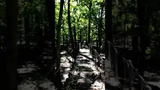PANTHER CREEK PARK KENTUCKY