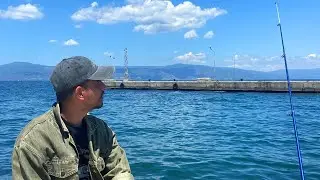 solo fishing with vodka and mussels &ndash; caught a jack mackerel #fishing