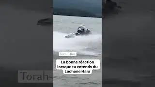 La bonne r&eacute;action lorsque tu entends du Lachone Hara