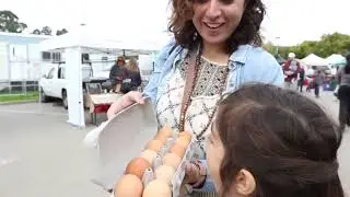 Mimansa Video