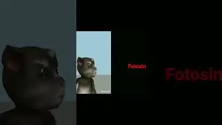 #humor #music #sigma #roblox