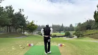 Mcilroy  B short iron shot