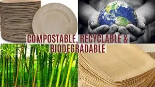 Eco Friendly, Disposable and Biodegradable Dinnerware 1080p