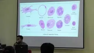 Lecture On Connective Tissue: Histology Lecture | Cells, Fibers & Classification | MBBS | TSMC