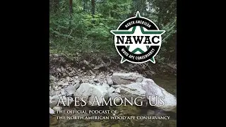 Apes Among Us Episode 6: Citizen Scientists