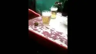 Chapinas de cortes GT