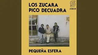 Bolsillo Viejo