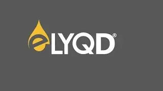 Обзор Проекта eLYQD (LYQD)