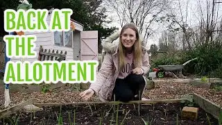 BACK AT THE ALLOTMENT PLOT / JANUARY 2022 / EMMA'S ALLOTMENT DIARIES