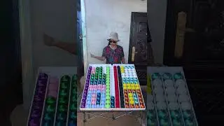 Color Ball Sorting Challenge Sort the Balls and Solve Mind Twisting Puzzles #927