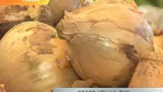 Обзор цен на лук