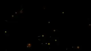Free Particles Overlay | Floating Sparks for Video Editing | No Copyright | Download FREE!