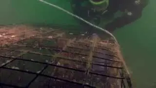 Ocean Defenders Alliance Operation Deep Sweep