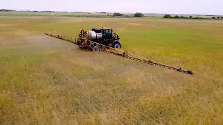 Earth Shattering Canola Yields