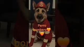 Disfraz de bombero para mi perro seg&uacute;n la IA👨&zwj;🚒#pastoralem&aacute;n #bomberos #halloween