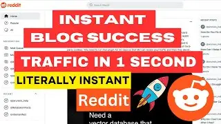 Instant Traffic (Literally) for New Blog: Reddit's Success Formula