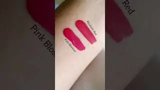 Elle 18 liquid lipsticks💄| Best shades (₹120) #shortsvideo #ytshorts #lipstick #makeup #reels #viral