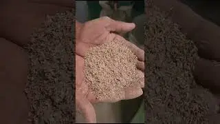 Modern Seed & Grain Processing Unit | Cleaning, Grading & Packaging | Rural Mechworks