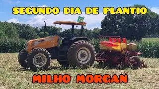 SEGUNDO DIA DE PLANTIO DO MILHO MORGAN, TERMINAMOS DE PLANTAR