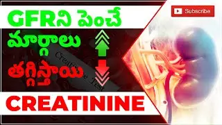 GFR పెంచడానికి & క్రియేటినిన్ తగ్గించడానికి మార్గాలు | Increase GFR & Reduce Creatinine | SRIAAS