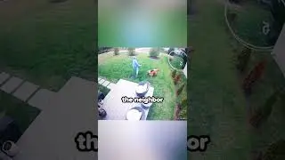 When Dogs See Each Other and Lose Control 😂