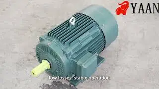 YE2 YE3 YE4 Three Phase AC Asynchronous Motors Manufacturer