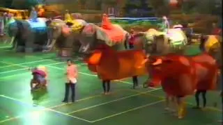 TV uitzending NCRV Zeskamp 1986 - Finale Arnhem