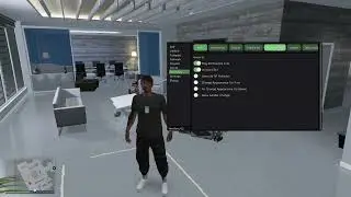 15Mio every 10min with YIM Menu enhanced: Tutorial GTA 5 1.71 Mod Menu